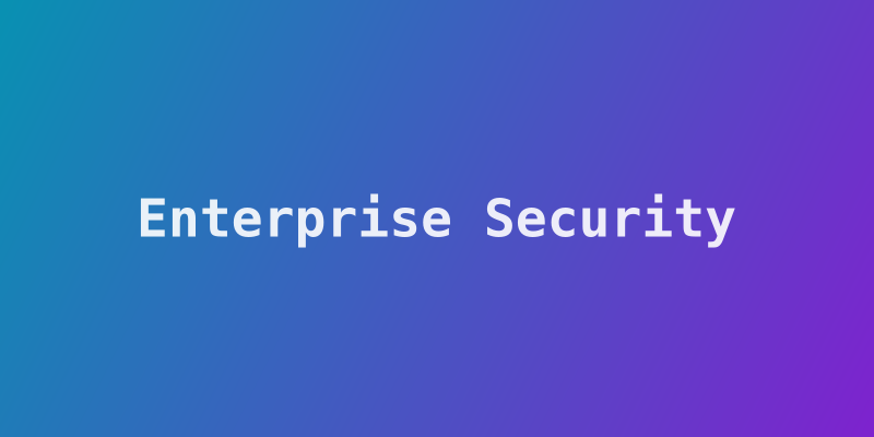 Enterprise Security in the Digital Age